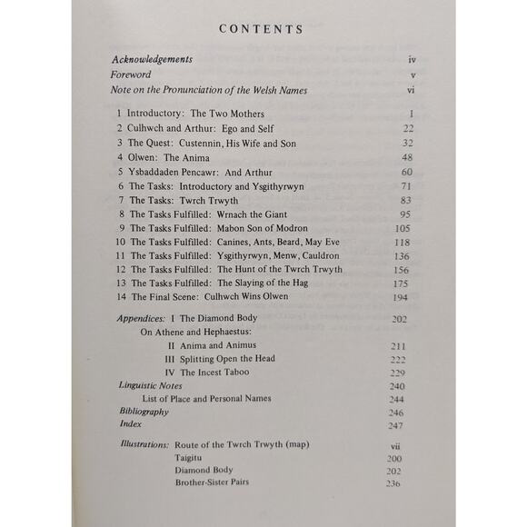 A Celtic Quest Sexuality and Soul in Individualism - John Layard - Picture 4 of 7